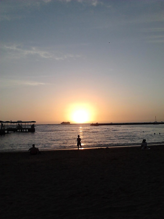 tumblr_mryb5cTNTh1sgsqdio2_540.jpg