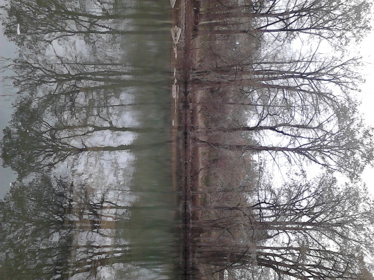 tumblr_mryb5cTNTh1sgsqdio7_540.jpg